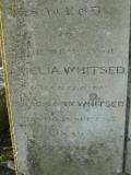 image of grave number 240893